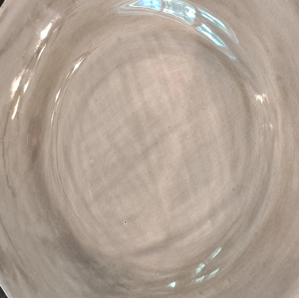 Pottery Barn Sausalito Dinner Plate Set of 2